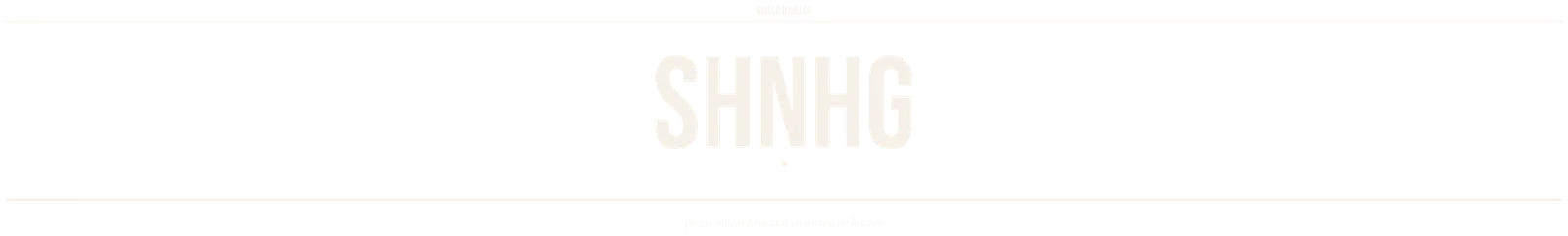 SHNHG — Guillo D'Aiello · Piezas únicas firmadas en cartón de huevos